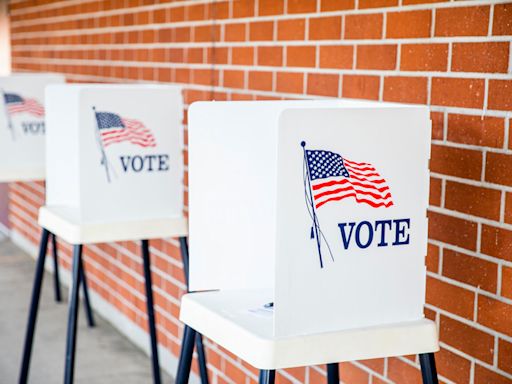 2024 Voter Guide: What to know about early voting in South Carolina primary elections