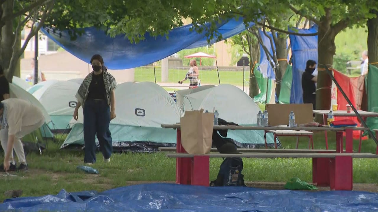 Police dismantle pro-Palestinian encampment at York University