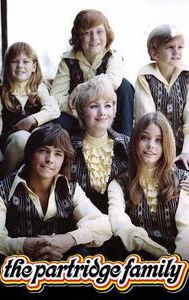 The Partridge Family