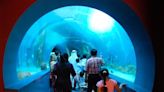 Beat the summer heat: 4 indoor adventures in Sharjah