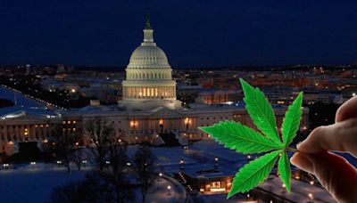 DEA's Call For Public Input On Cannabis Garnered 42,000 Comments: Majority Want Total Legalization Or Rescheduling - AdvisorShares...