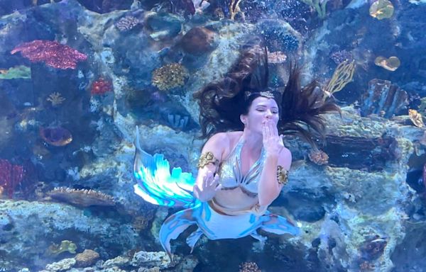 'The Little Mermaid' is coming to life at Kentucky's Newport Aquarium with a new exhibit