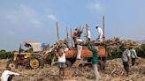 India's sugar output could fall further as cane matures early