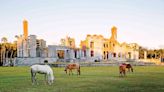 11 Best Things To Do On Cumberland Island, Georgia's Gorgeous Natural Gem