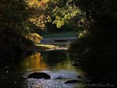 Chickasaw National Recreation Area