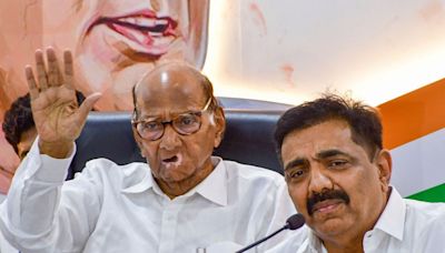 Sharad Pawar’s NCP Says Prominent Mahayuti Leader To Jump Ship Before Maharashtra Polls - News18