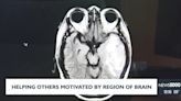 Desire to help others motivated by specific region of the brain