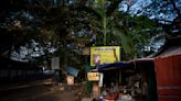 In India, mangrove trees make way for booming city of Kochi