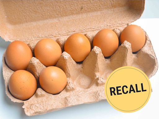 Salmonella Outbreak from Eggs Linked to 65 Illnesses and 24 Hospitalizations