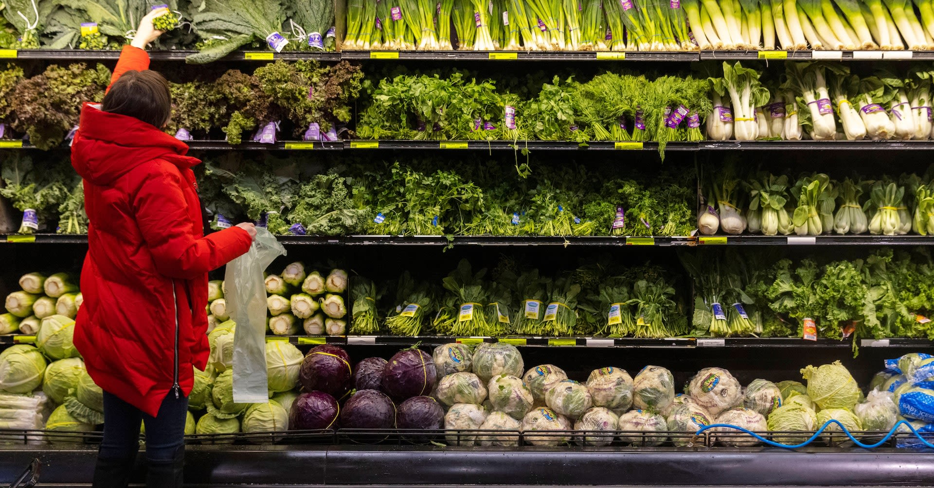 NY grocer Gristedes to spend millions to settle US greenhouse gas charges