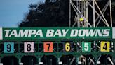 Tampa Bay Downs: 2023-24 Season Recap