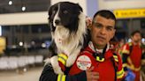 Mexico Sends Talented Search and Rescue Dogs to Turkey to Help with Earthquake Aftermath