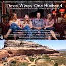 Three Wives, One Husband