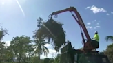 Free yard waste pickup for West Palm Beach residents ahead of hurricane season