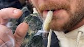 Estudio revela que uso diario de marihuana ya supera consumo de alcohol en Estados Unidos - La Opinión