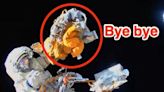 Watch the moment a cosmonaut tossed a bag of parts into space but NASA said the space litter is harmless