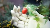 Equilibrium/Sustainability — Scientists train ‘robot chef’ to prepare tastier foods