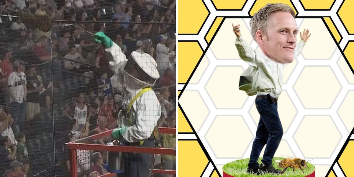 Bobblehead unveiled for man who removed colony of bees that delayed D-Backs game
