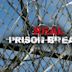 Real Prison Breaks