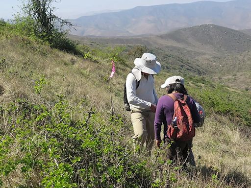 Científicos plantean nuevas formas de recuperar bosques tropicales secos en zonas andinas