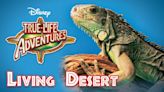 The Living Desert: Where to Watch & Stream Online