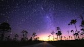 Meteor showers and nocturnal wonders on display during Everglades Dark Sky Celebration