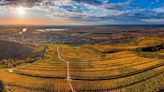 Tokaj, la región húngara cuyos vinos conquistaron a reyes