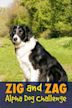 Zig & Zag: Alpha Dog Challenge