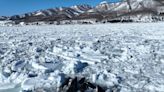 Un grupo de orcas queda atrapado en el hielo frente a la costa del norte de Japón