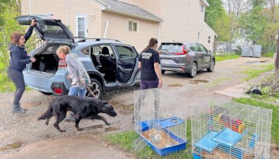 Humane Society gets influx of animals from home where residents had been evicted
