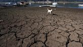 No sólo es el calor, viene lo peor, sequía azota a más del 70% del país