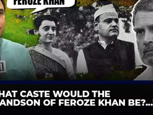 'What caste would the grandson of Feroze Khan be?...' BJP MLA's 'no caste' jibe at Rahul Gandhi