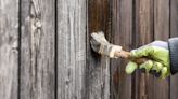 Common mistakes to avoid when painting your garden fence - they could cost you