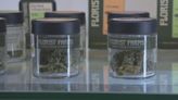 美國擬下調大麻管制級別 減輕聯邦對管有及服用的罰則