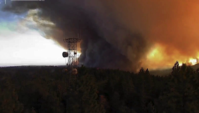 VIDEO: Fire tornado rips through forest during Park Fire