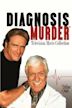 Diagnosis Murder: Without Warning