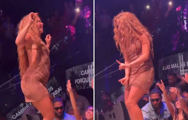 Shakira abandons stage after fan appears to film up her dress at Miami nightclub