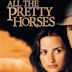 All the Pretty Horses (film)