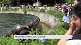 Prospect Park Zoo, damaged by Tropical Storm Ophelia, reopens after 240 days