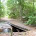 Brooker Creek Preserve