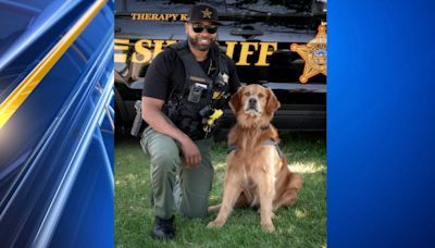New Franklin sheriff’s therapy dog sworn in