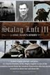 Stalag Luft III: One Man's Story
