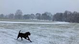 See how much snow fell in York and Lebanon counties from Saturday storm