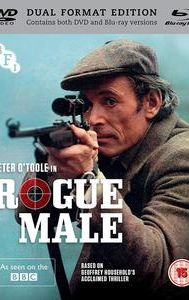 Rogue Male