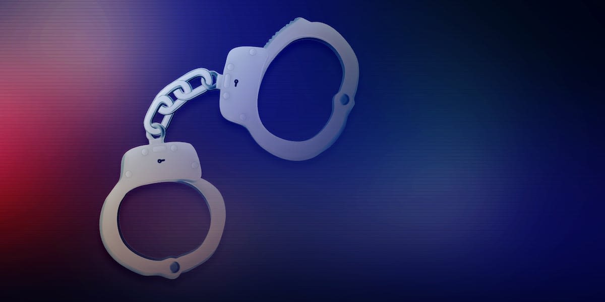 Hall County teen arrested after allegedly breaking into home, stealing TV, sheriff’s office says