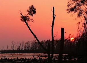 Sundarbans