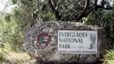 On This Day, May 30: Congress establishes Everglades National Park - UPI.com