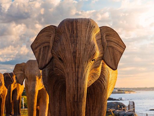 Great Elephant Migration Across America Begins In Newport, RI