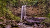 Tesla rival rolls out electrifying change across state parks — here’s what it means for future visitors