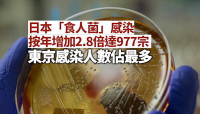 日本「食肉菌」感染個案創新高 東京感染人數佔最多